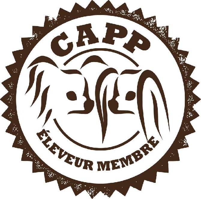Des Nectars D'orion - eleveur membre du CAPP en 2016